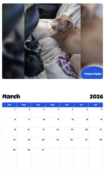 November 2025 - October 2026 Prissy & Spike - Pawidols Pet Calendar