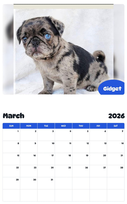 November 2025 - October 2026 Gidget - Pawidols Pet Calendar