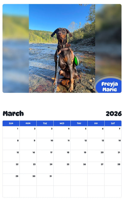 November 2025 - October 2026 Freyja Marie - Pawidols Pet Calendar