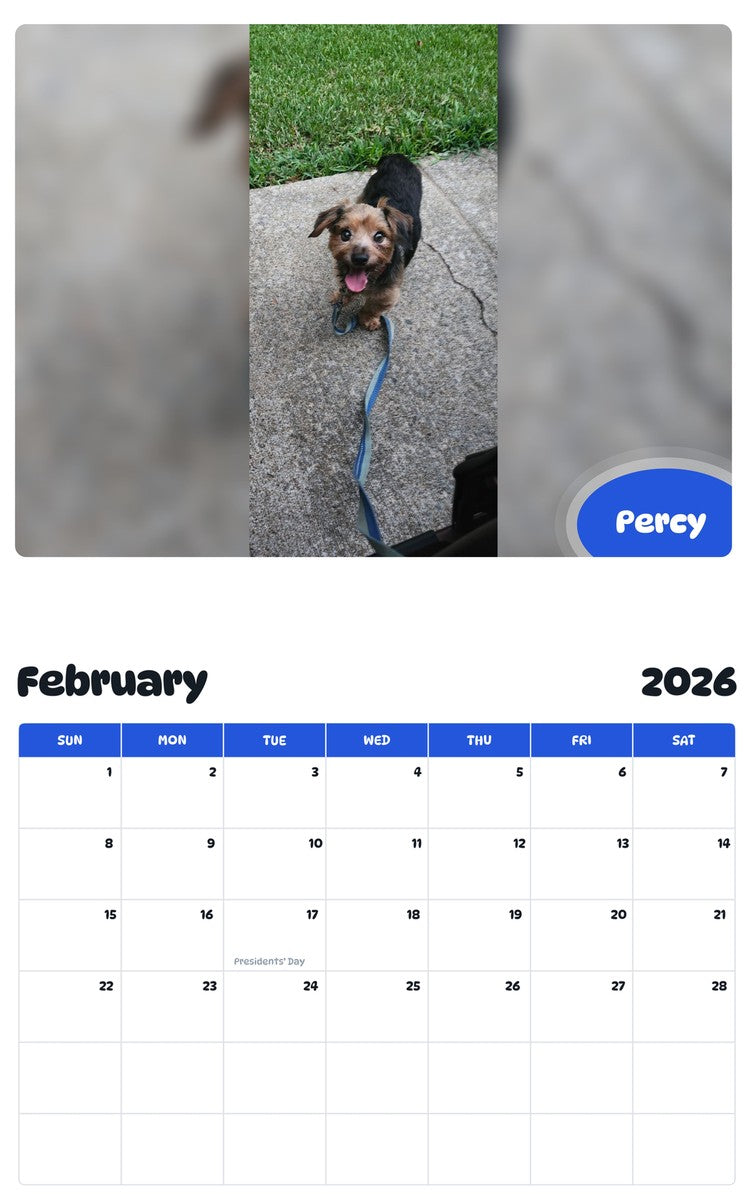 October 2025 - September 2026 Percy - Pawidols Pet Calendar