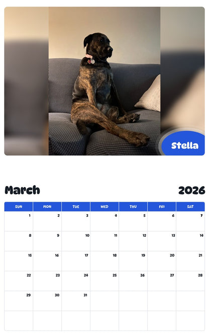 November 2025 - October 2026 Stella - Pawidols Pet Calendar