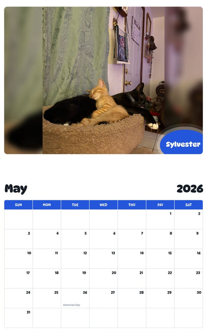 2026 - 2027 Sylvester - Pawidols Pet Calendar