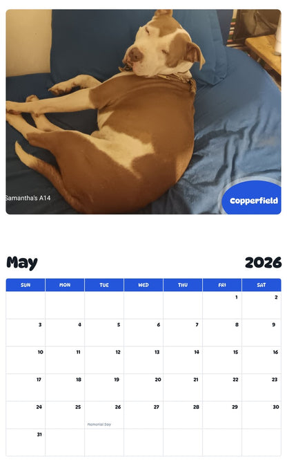 2026 - 2027 Copperfield - Pawidols Pet Calendar