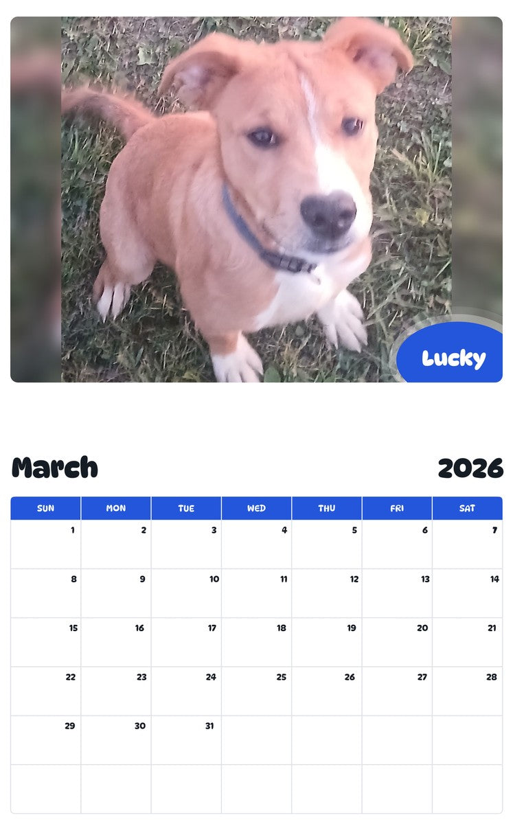 November 2025 - October 2026 Lucky - Pawidols Pet Calendar