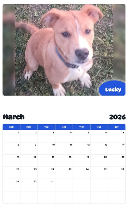 November 2025 - October 2026 Lucky - Pawidols Pet Calendar