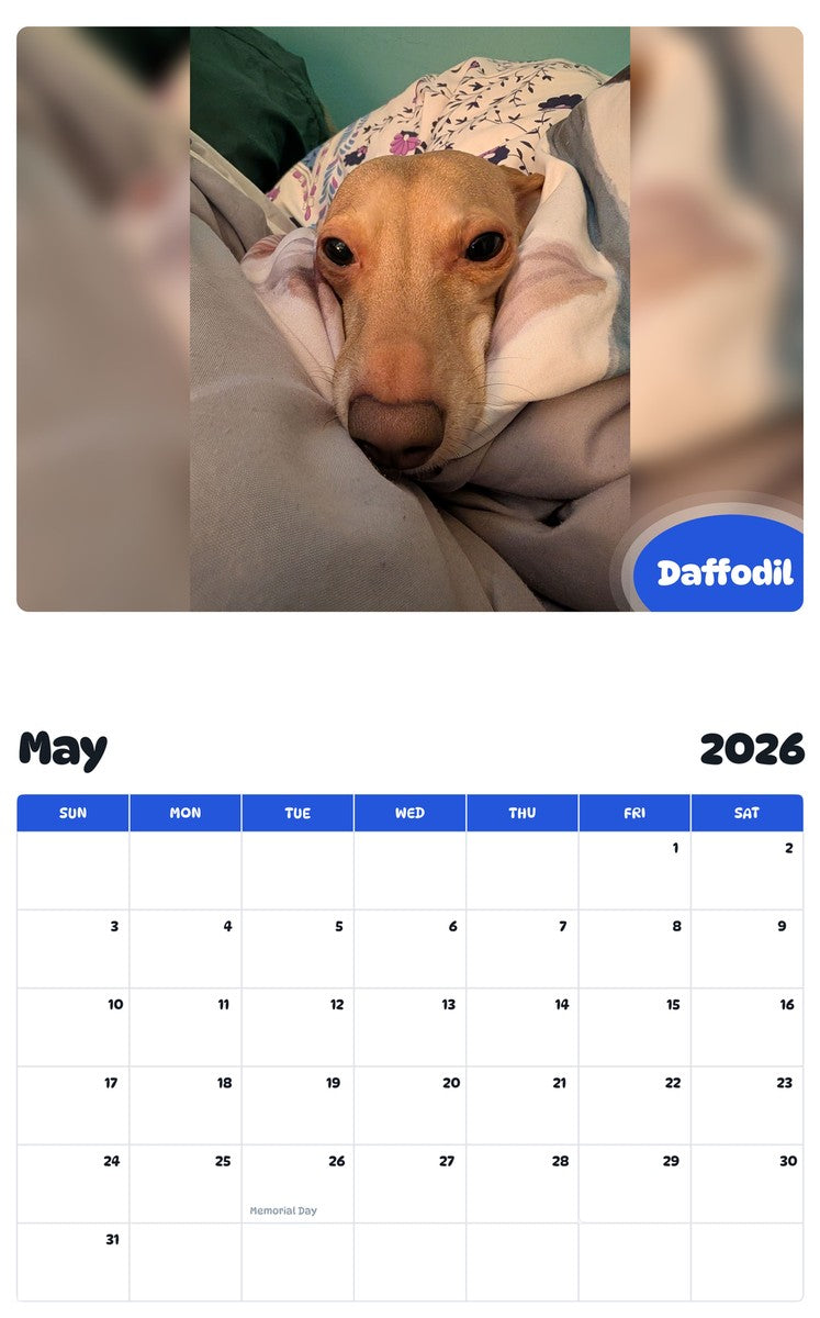 2026 - 2027 Daffodil - Pawidols Pet Calendar