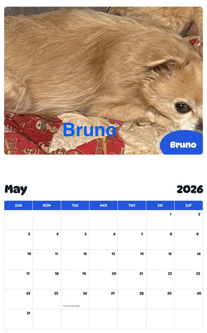 2026 - 2027 Bruno - Pawidols Pet Calendar