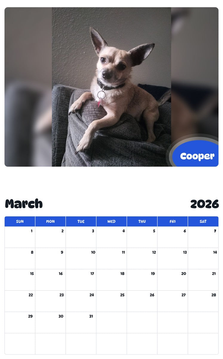 November 2025 - October 2026 Cooper - Pawidols Pet Calendar