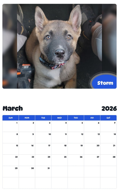 November 2025 - October 2026 Storm - Pawidols Pet Calendar