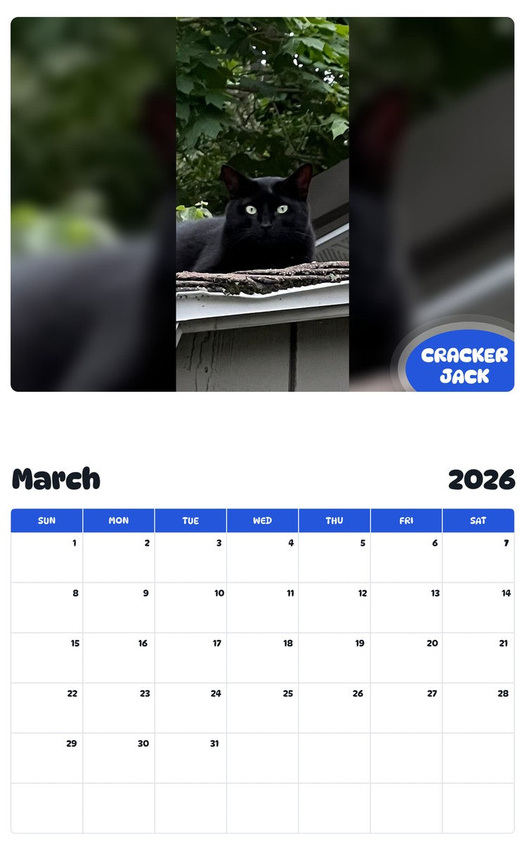 November 2025 - October 2026 CRACKER JACK - Pawidols Pet Calendar