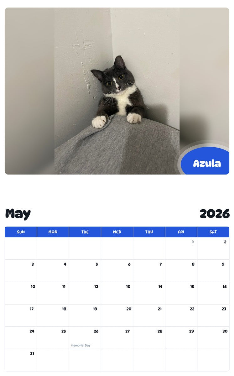 2026 - 2027 Azula - Pawidols Pet Calendar