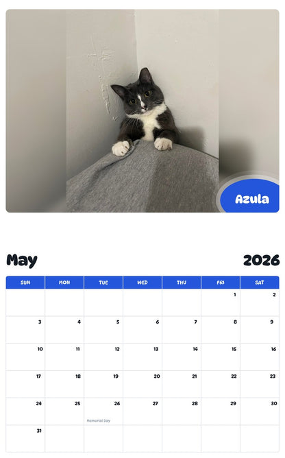 2026 - 2027 Azula - Pawidols Pet Calendar