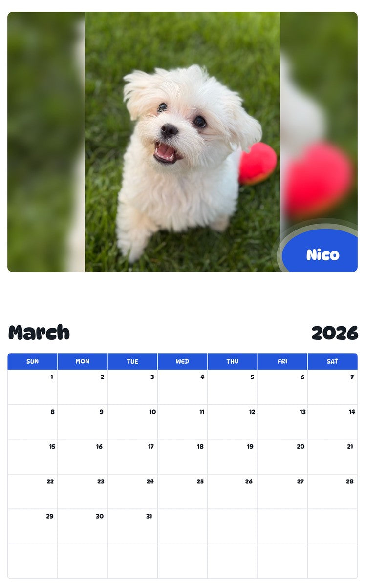 November 2025 - October 2026 Nico - Pawidols Pet Calendar