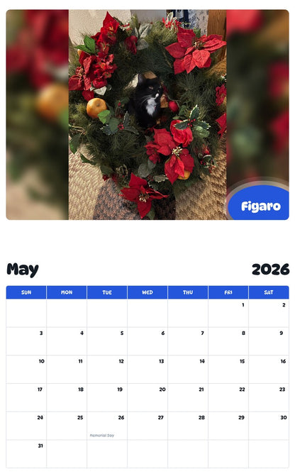 2026 - 2027 Figaro - Pawidols Pet Calendar