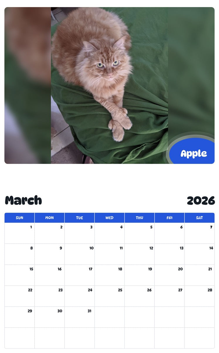 November 2025 - October 2026 Apple - Pawidols Pet Calendar