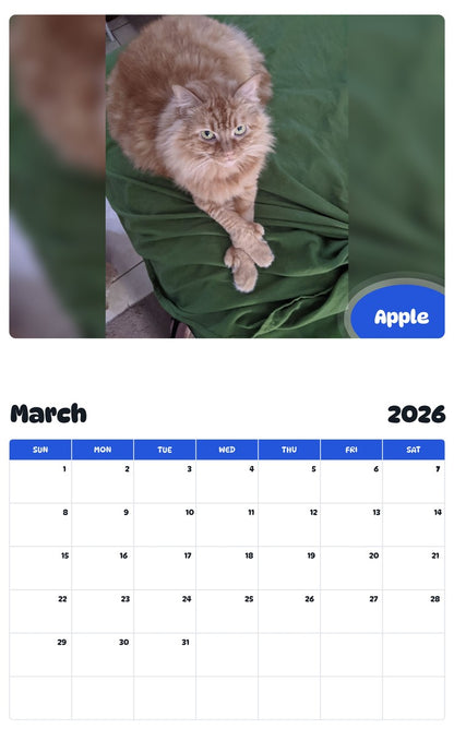 November 2025 - October 2026 Apple - Pawidols Pet Calendar