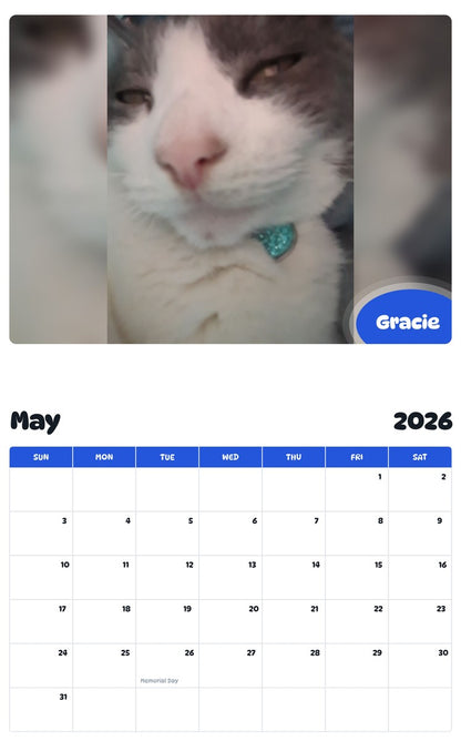 2026 - 2027 Gracie - Pawidols Pet Calendar