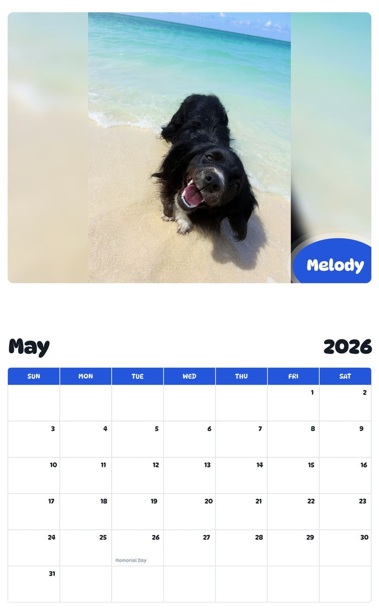 2026 - 2027 Melody - Pawidols Pet Calendar