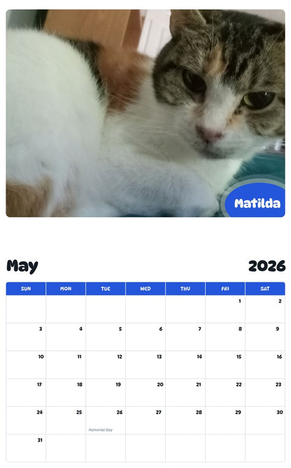 2026 - 2027 Matilda - Pawidols Pet Calendar