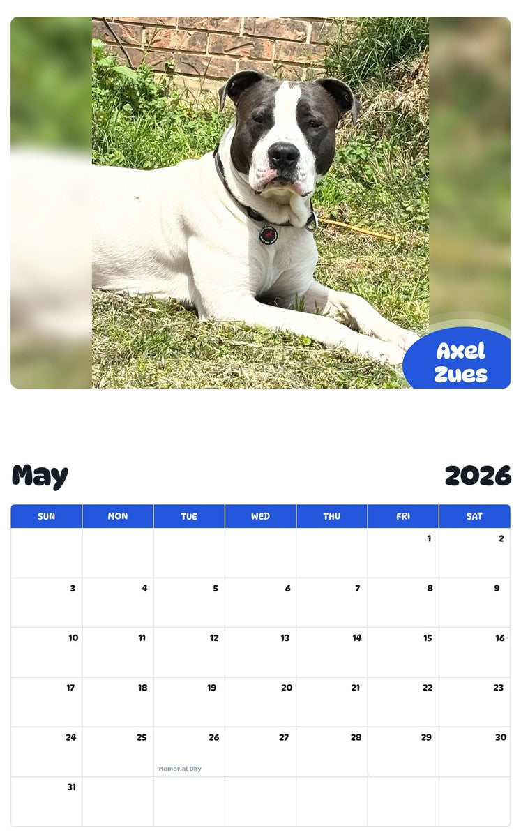 2026 - 2027 Axel Zues - Pawidols Pet Calendar