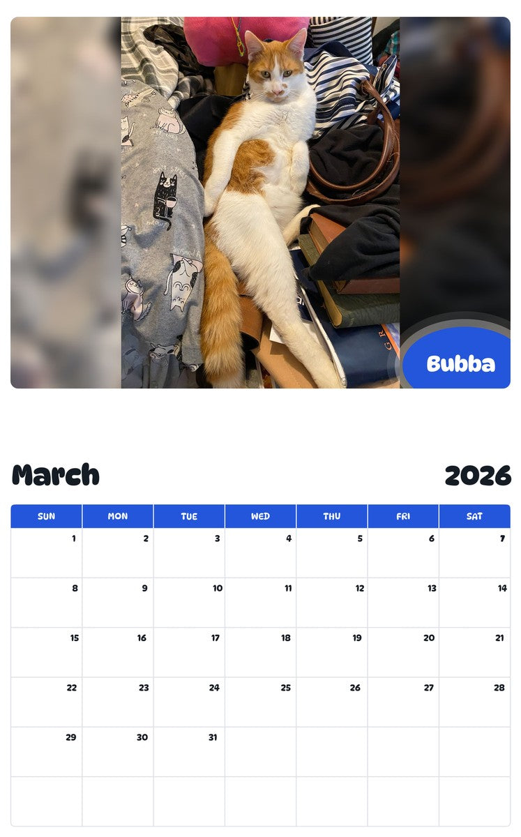 November 2025 - October 2026 Bubba - Pawidols Pet Calendar