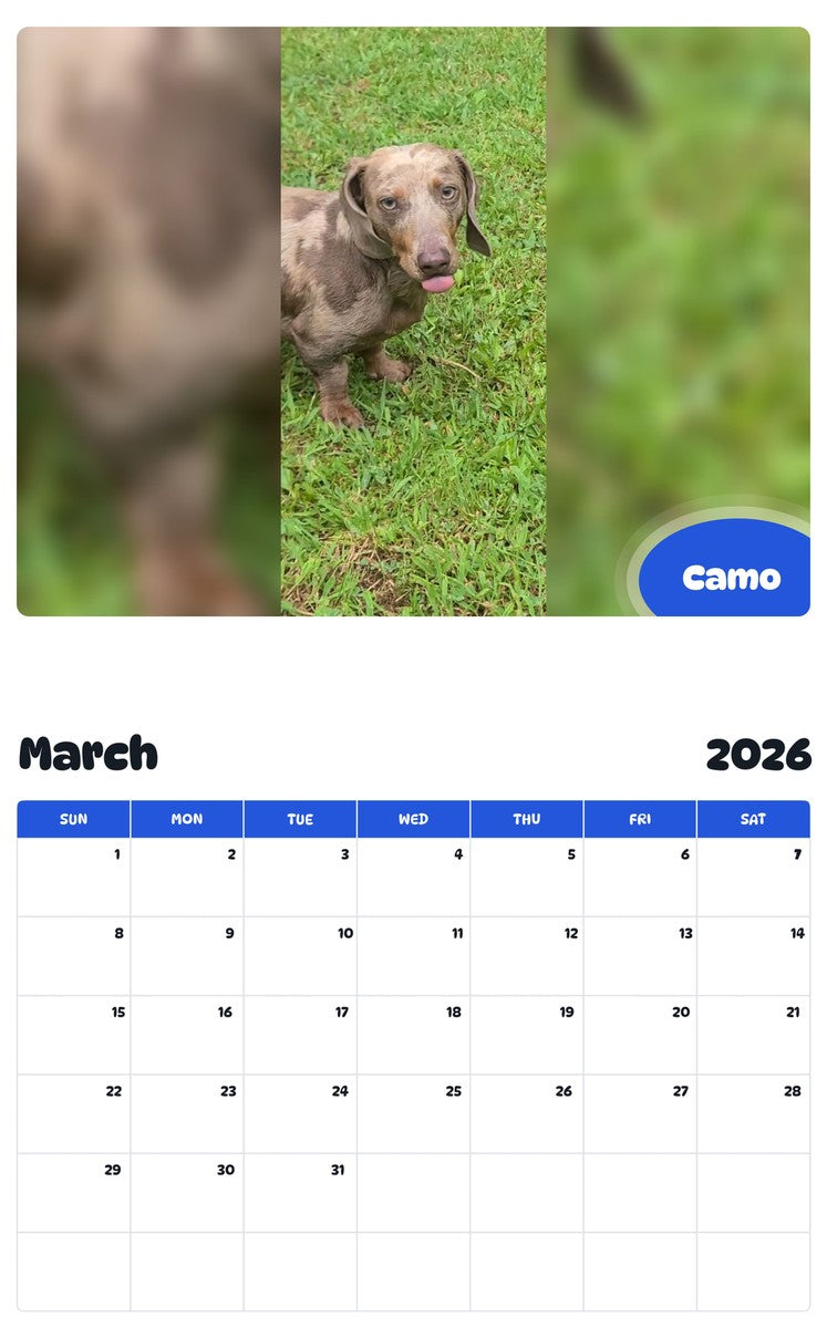 November 2025 - October 2026 Camo - Pawidols Pet Calendar
