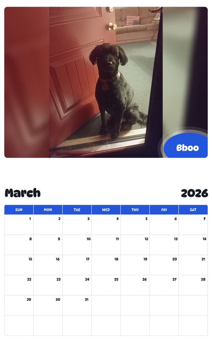 November 2025 - October 2026 Bboo - Pawidols Pet Calendar