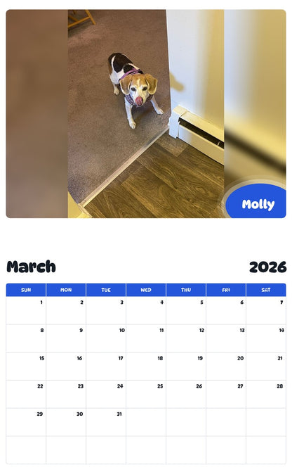 November 2025 - October 2026 Molly - Pawidols Pet Calendar