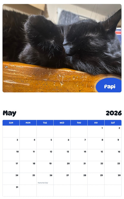 2026 - 2027 Papi - Pawidols Pet Calendar