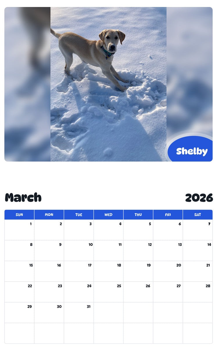 November 2025 - October 2026 Shelby - Pawidols Pet Calendar