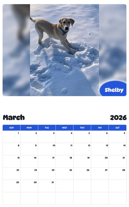 November 2025 - October 2026 Shelby - Pawidols Pet Calendar