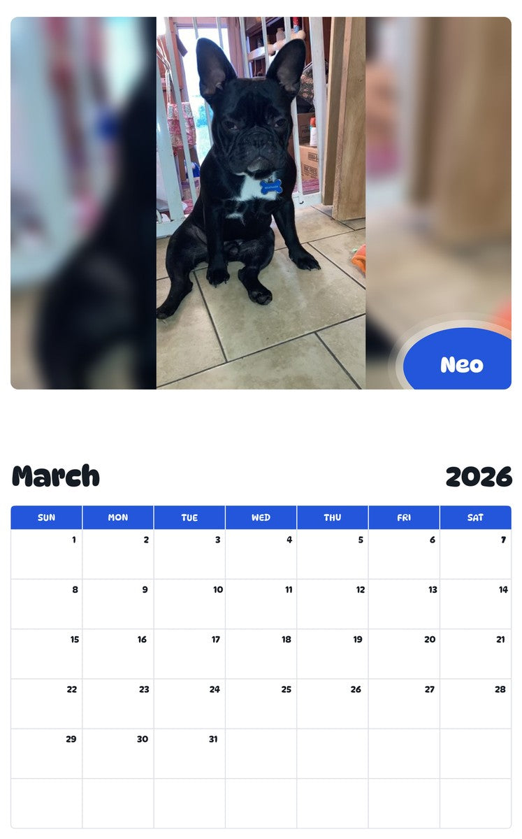 November 2025 - October 2026 Neo - Pawidols Pet Calendar