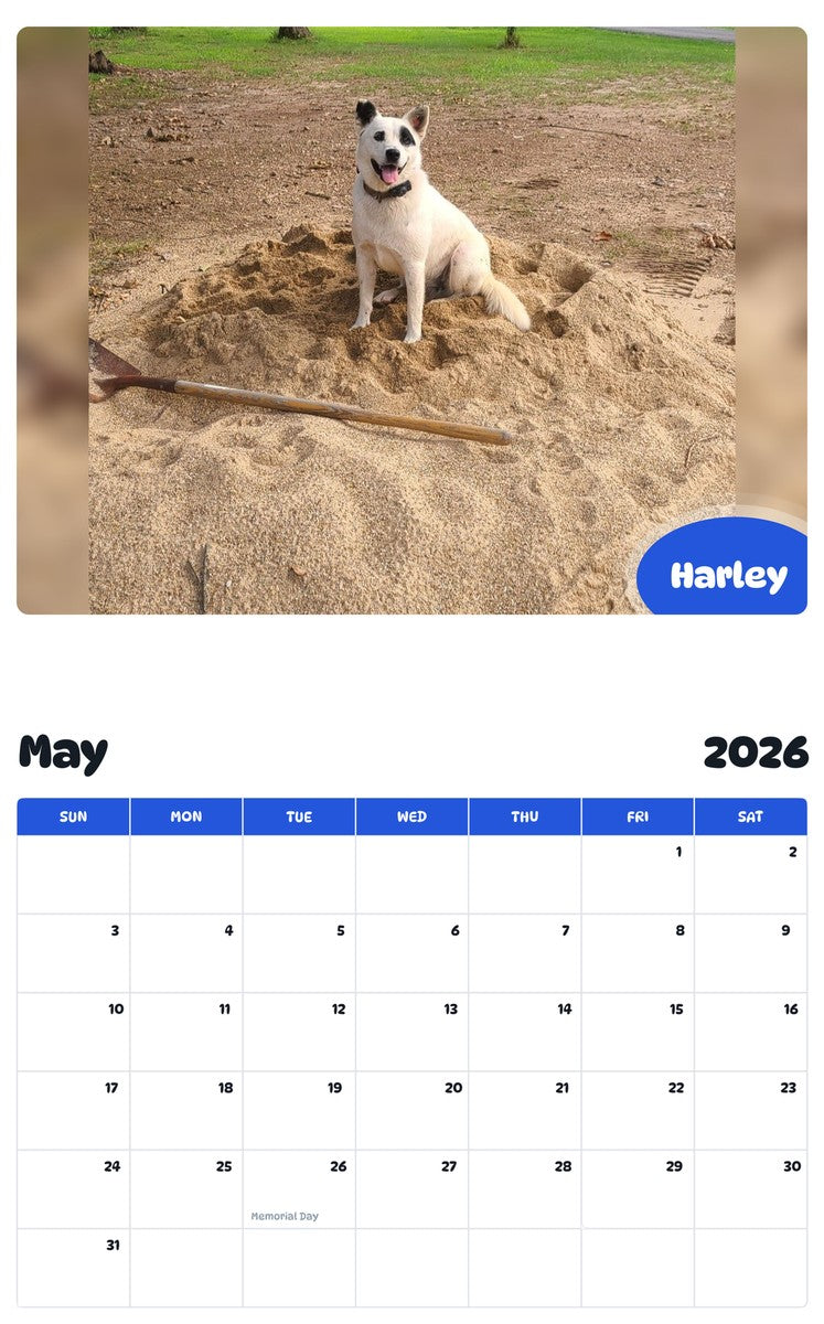 2026 - 2027 Harley - Pawidols Pet Calendar