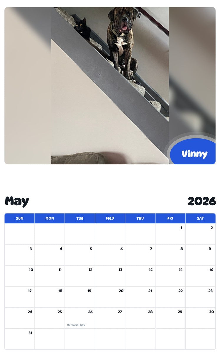 2026 - 2027 Vinny - Pawidols Pet Calendar