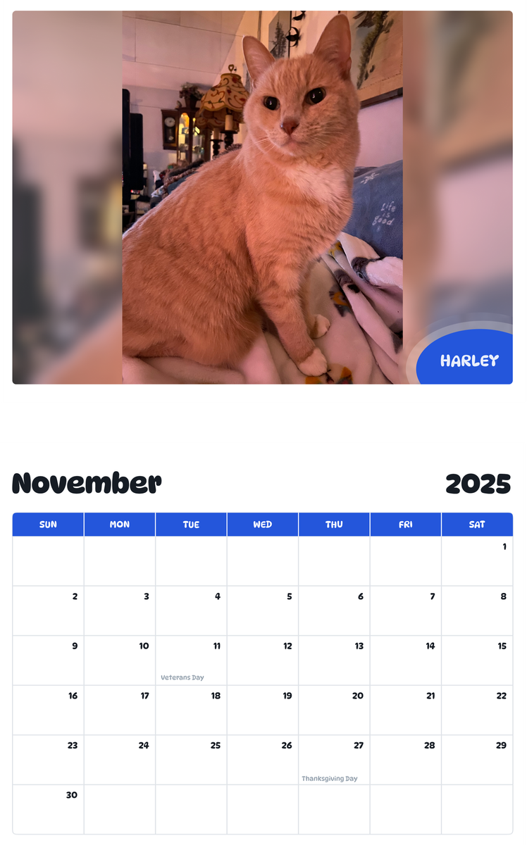 July 2025 - June 2026 Harley - Pawidols Pet Calendar