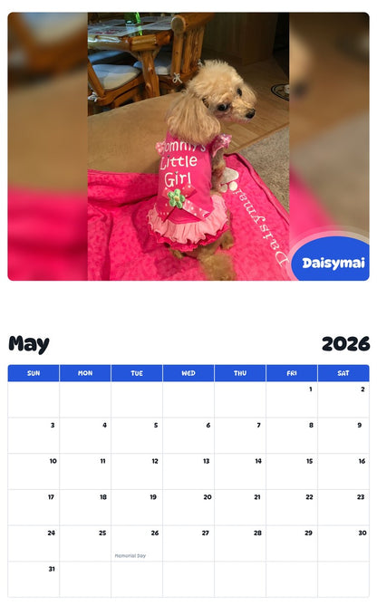2026 - 2027 Daisymai - Pawidols Pet Calendar