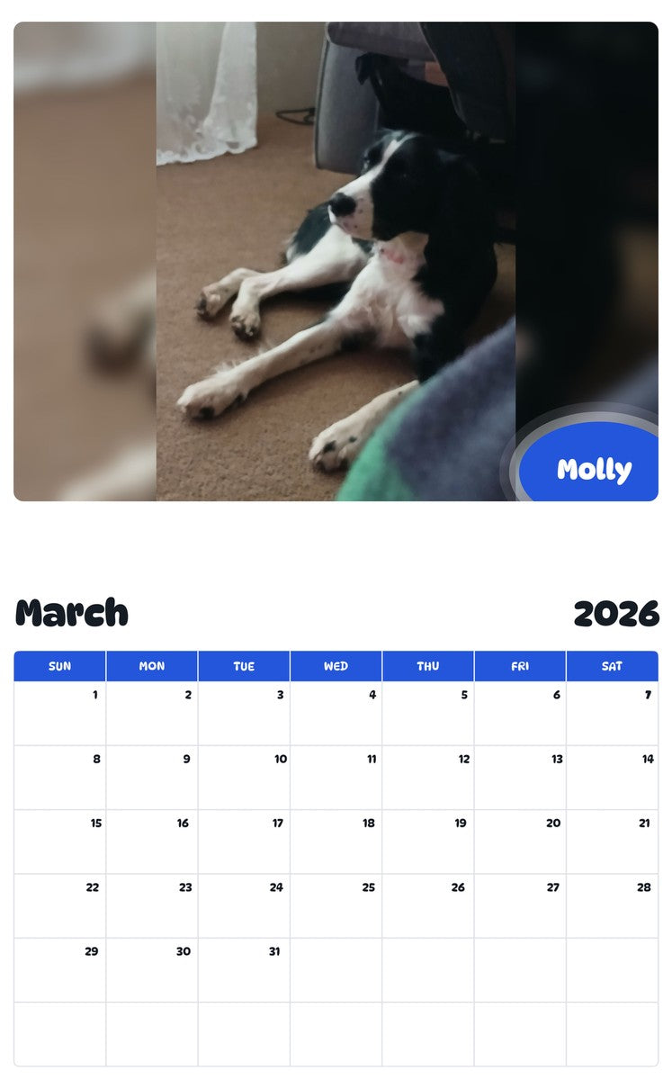 November 2025 - October 2026 Molly - Pawidols Pet Calendar