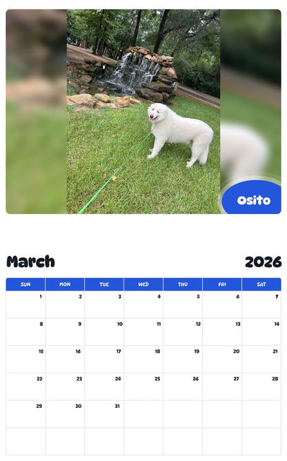 November 2025 - October 2026 Osito - Pawidols Pet Calendar