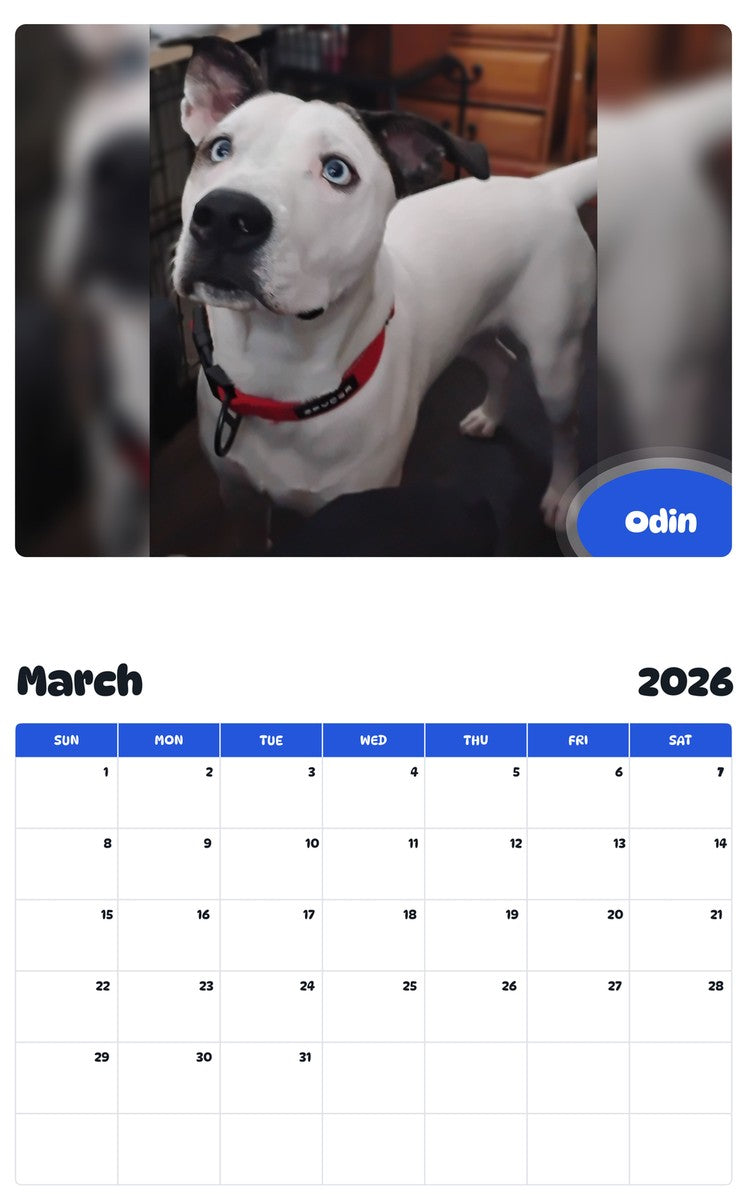 November 2025 - October 2026 Odin - Pawidols Pet Calendar