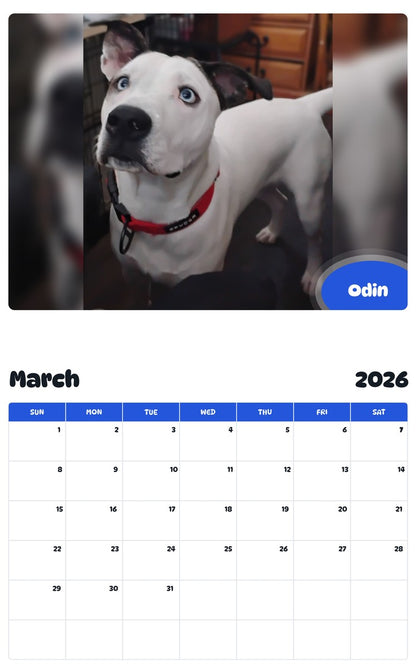 November 2025 - October 2026 Odin - Pawidols Pet Calendar