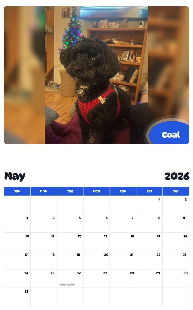2026 - 2027 Coal - Pawidols Pet Calendar