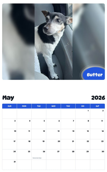 2026 - 2027 Butter - Pawidols Pet Calendar