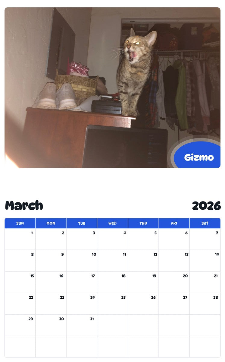 November 2025 - October 2026 Gizmo - Pawidols Pet Calendar
