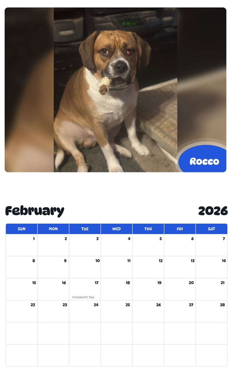 November 2025 - October 2026 Rocco - Pawidols Pet Calendar