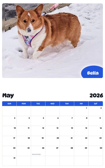 2026 - 2027 Bella - Pawidols Pet Calendar