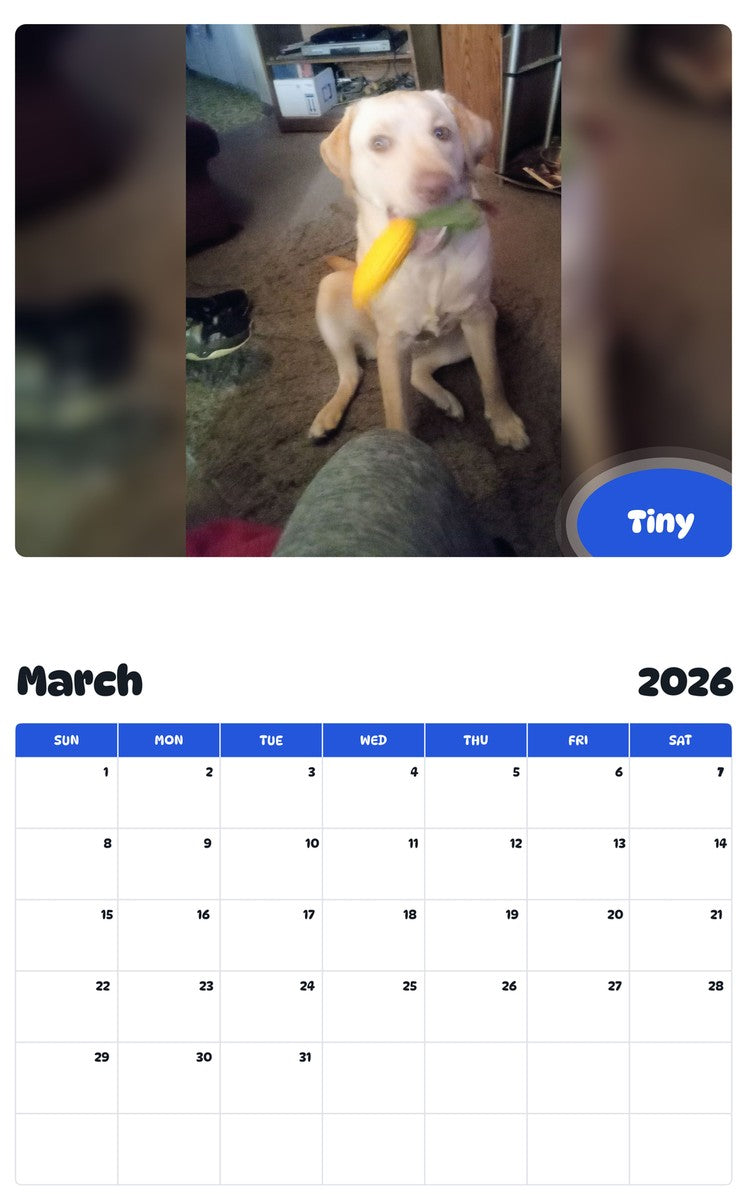 November 2025 - October 2026 Tiny - Pawidols Pet Calendar