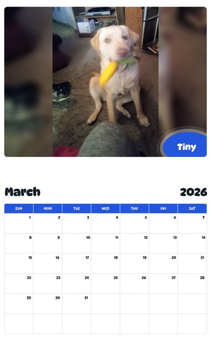 November 2025 - October 2026 Tiny - Pawidols Pet Calendar