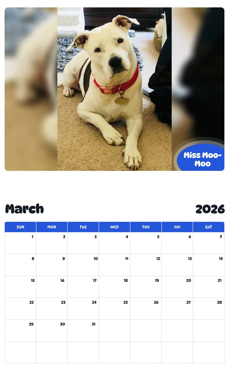 November 2025 - October 2026 Miss Moo-Moo - Pawidols Pet Calendar
