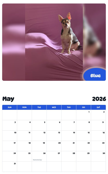 2026 - 2027 Blue - Pawidols Pet Calendar