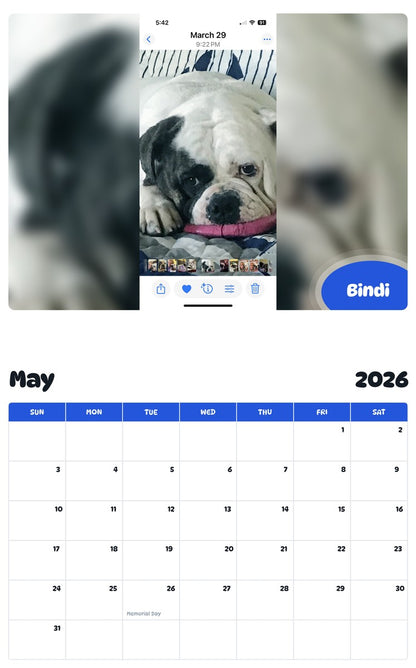 2026 - 2027 Bindi - Pawidols Pet Calendar